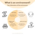 The importance of the environment in education